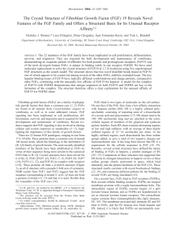 The Crystal Structure of Fibroblast Growth Factor (FGF) 19 Reveals