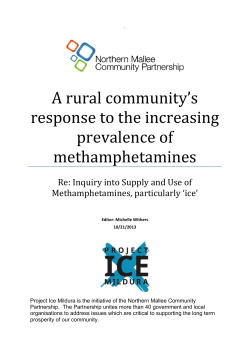 Northern Mallee Community Partnership 375.62 Kb