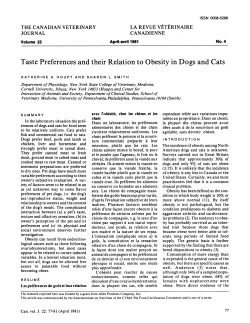 Taste Preferences and their Relation to Obesity in Dogs