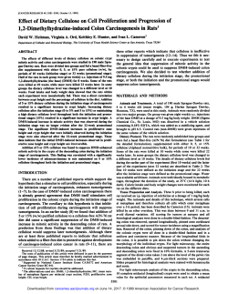 Effect of Dietary Cellulose on Cell Proliferation