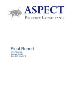 Orange Final Report 2015