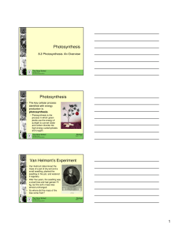 Photosynthesis Photosynthesis Van Helmont`s Experiment