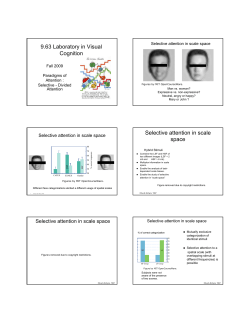 Divided Attention - MIT OpenCourseWare