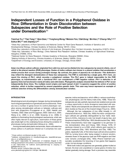 Independent Losses of Function in a Polyphenol