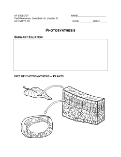 photosynthesis - Mr. Van Arsdale