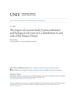 The impact of creosote bush (Larrea tridentata)