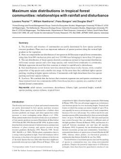 Maximum size distributions in tropical forest communities