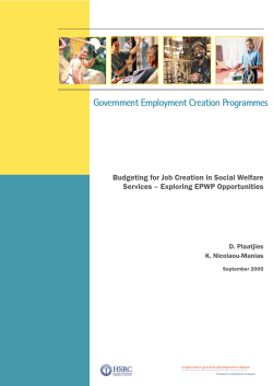Budgeting for job creation in social welfare services: exploring