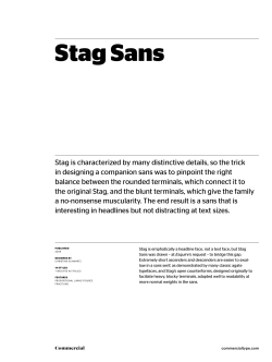 Stag Sans - Commercial Type