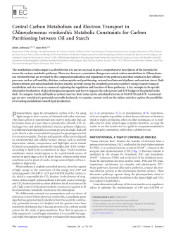 Central Carbon Metabolism and Electron Transport in