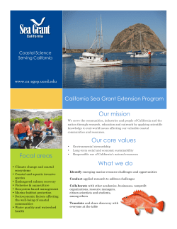 Our mission What we do Our core values Focal areas