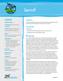 Survive! - HCTF Education