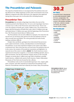 The Precambrian and Paleozoic