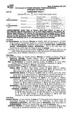 Pedigree - Three Bridges Thoroughbreds