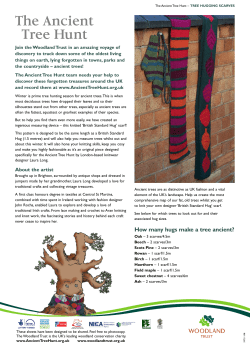 Leaf Scarf - Ancient Tree Hunt