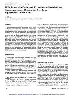 DNA Repair with Purines and Pyrimidines in
