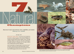 Seven Natural Champions