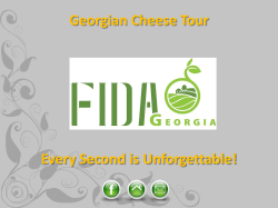 Cheese - Fida Georgia