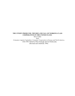 the citizen producer: the rise and fall of working
