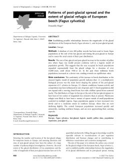 Magri 2008 expansi&oacute;n haya JB 2008