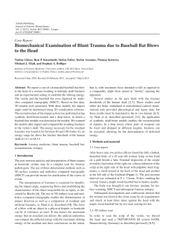 Biomechanical Examination of Blunt Trauma due to Baseball Bat