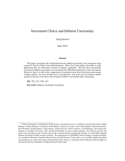 Investment Choice and Inflation Uncertainty