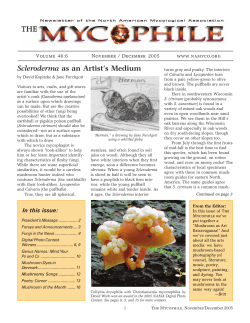 Scleroderma as an Artist`s Medium