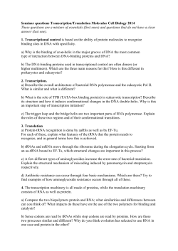 Seminar questions Transcription/Translation