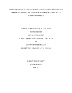 a phenomenological examination of well