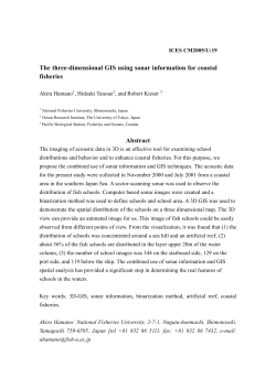 The three-dimensional GIS using sonar information for coastal