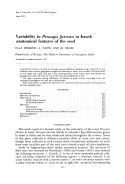 anatomical features of the seed