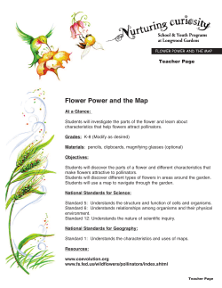 Flower Power and the Map