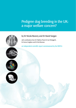 Pedigree dog breeding in the UK: a major welfare concern?