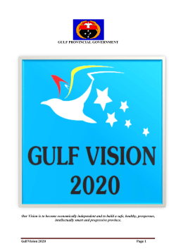 gulf vision 2020