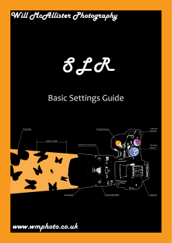 Basic Settings Guide