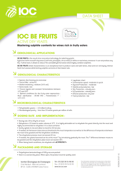 ioc be fruits - Perdomini-IOC