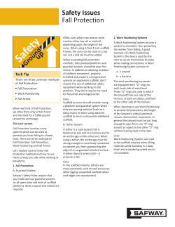 Safety Issues Fall Protection