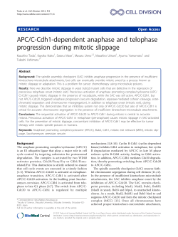 APC/C-Cdh1-dependent anaphase and telophase progression