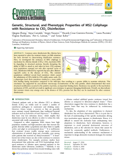 Genetic, structural and phenotypic properties of