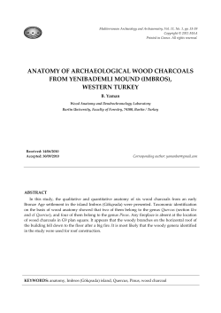 PDF - Mediterranean Archaeology and Archaeometry