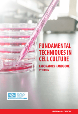 Fundamental Techniques in Cell Culture - Sigma