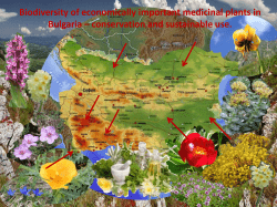 Biodiversity of economically important medicinal plants in Bulgaria