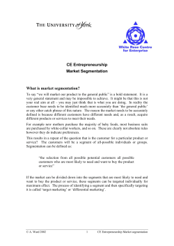 CE Entrepreneurship Market segmentation