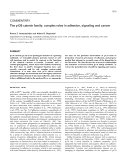 p120 catenin roles in adhesion and signaling