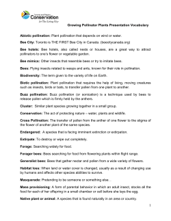 Growing Pollinator Plants Presentation Vocabulary
