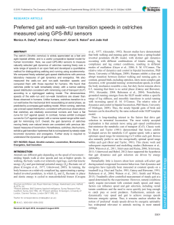Preferred gait and walk&ndash;run transition speeds in ostriches measured