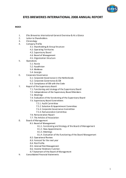 efes breweries international 2008 annual report