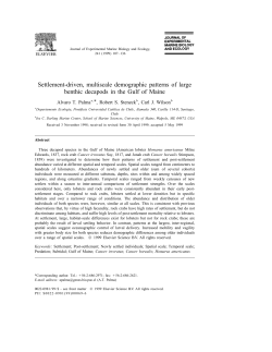 Settlement-driven, multiscale demographic patterns of large benthic