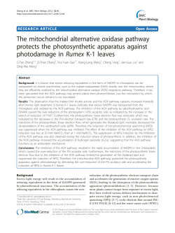 The mitochondrial alternative oxidase pathway protects the