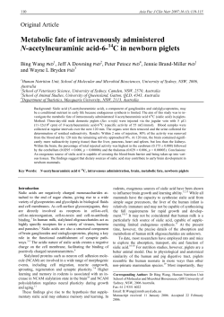 C in newborn piglets